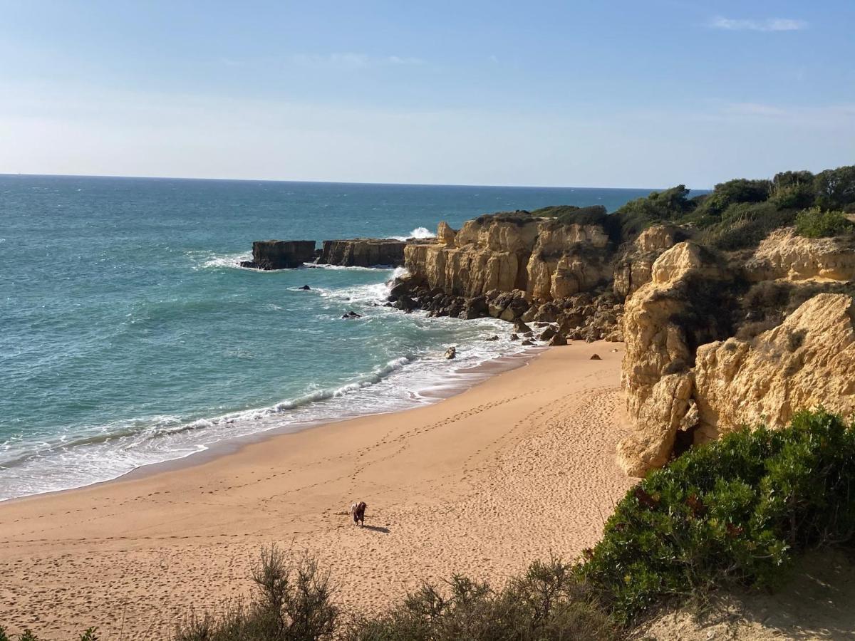 Albufeira Portugal Maria Appt Daire Dış mekan fotoğraf