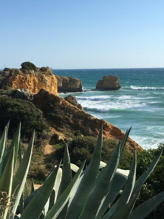 Albufeira Portugal Maria Appt Daire Dış mekan fotoğraf